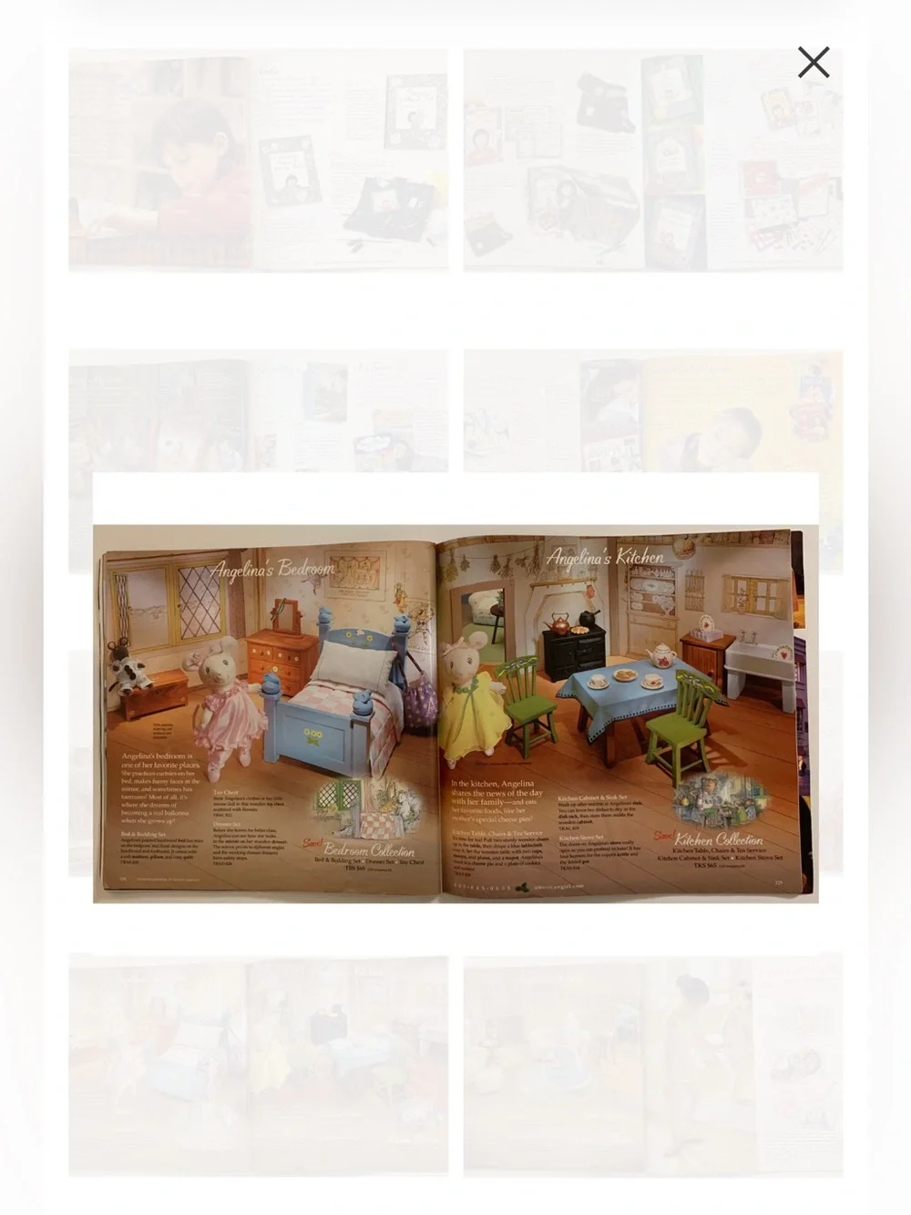 Assorted Angelina Ballerina Items Accessories